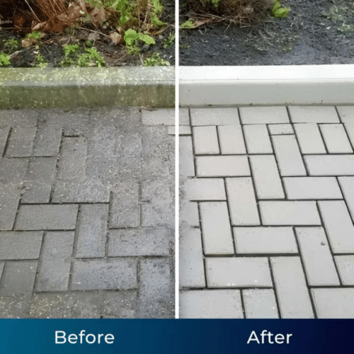 Aquoxis Pressure Washer (Official Retailer) [year]
